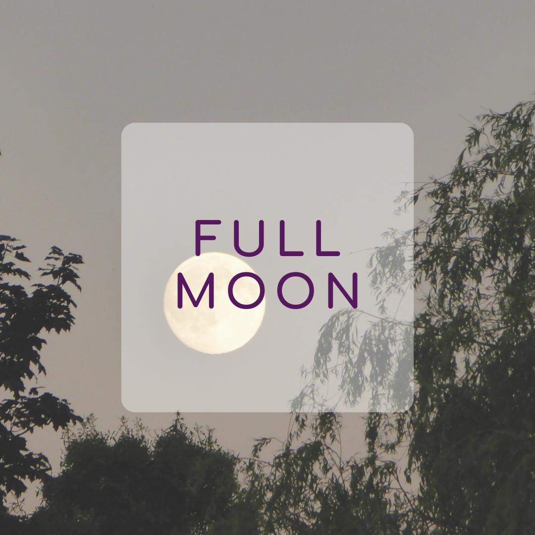 FullMoon_nel bosco